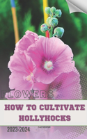 How to Cultivate Hollyhocks: Become flowers expert