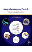 Network Functions and Plasticity: Perspectives from Studying Neuronal Electrical Coupling in Microcircuits