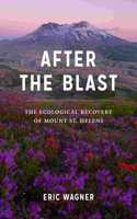 After the Blast