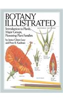 Botany Illustrated: Introduction to Plants, Major Groups, Flowering Plant Families