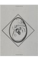 Egg Incubation