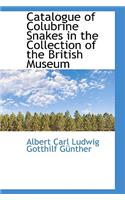 Catalogue of Colubrine Snakes in the Collection of the British Museum