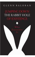 Jumping Down The Rabbit Hole Of Existence