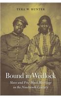 Bound in Wedlock: Slave and Free Black Marriage in the Nineteenth Century