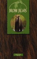 Brown Bears 6pk