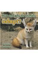 How and Why Do Animals Adapt: (Animals Close-Up)