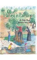 Olive Harvest in Palestine