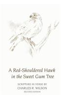 Red-Shouldered Hawk In The Sweet Gum Tree