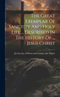 Great Exemplar Of Sanctity And Holy Life ... Described In The History Of ... Jesus Christ