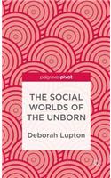 Social Worlds of the Unborn