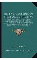 An Encyclopedia Of Trees And Shrubs V1: Containing The Hardy Trees And Shrubs Of Britain, Native And Foreign, Scientifically And Popularly Described (1869)