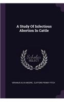 Study Of Infectious Abortion In Cattle