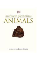 Illustrated Encyclopedia of Animals