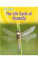Life Cycle of Insects