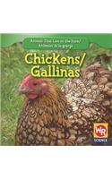 Chickens / Las Gallinas