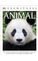 DK Eyewitness Books: Animal: Marvel at the Wonders of the Animal Kingdom from the Tiniest Insects to the Migh(DK Eyewitness)