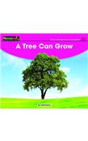 A Tree Can Grow Leveled Text: (Early Rising Readers (En))
