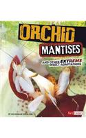 Orchid Mantises and Other Extreme Insect Adaptations