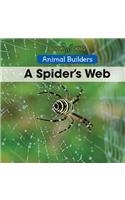 A Spider's Web