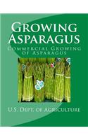Growing Asparagus