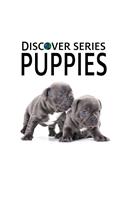 Puppies