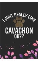 I Just Really Like Cavachon Ok?: Cool Cavachon Dog Journal Notebook - Cavachon Puppy Lover Gifts - Funny Cavachon Dog Notebook - Cavachon Owner Gifts. 6 x 9 in 120 pages