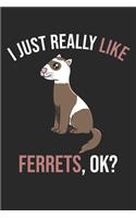 I Just Really Like Ferrets, OK?: DIN A5 Frettchen Notizheft - 120 Seiten gepunktetes Frettchen Notizbuch für Notizen in Schule, Universität, Arbeit oder zuhause. - Eine tolles Gesch