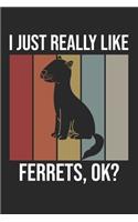 I Just Really Like Ferrets, OK?: DIN A5 Frettchen Notizheft liniert - 120 Seiten liniertes Frettchen Notizbuch für Notizen in Schule, Universität, Arbeit oder zuhause. - Eine tolles