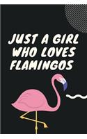 Loves Flamingos