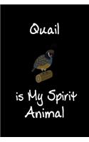 Quail is My Spirit Animal