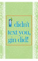 I Didn't Text You, Gin Did!
