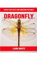 Dragonfly: Super Fun Facts and Amazing Pictures