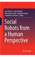 Social Robots from a Human Perspective