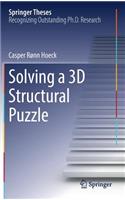 Solving a 3D Structural Puzzle