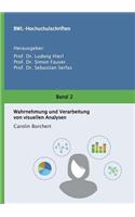 Wahrnehmung und Verarbeitung von visuellen Analysen