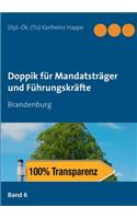 Doppik für Mandatsträger und Führungskräfte