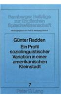 Ein Profil soziolinguistischer Variation in einer amerikanischen Kleinstadt