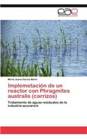Implemetación de un reactor con Phragmites australis (carrizos): (Spanish)
