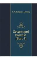 Sebastopol Harvest (Part 3)