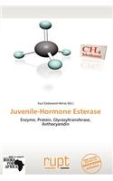Juvenile-Hormone Esterase