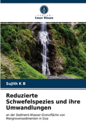 Reduzierte Schwefelspezies und ihre Umwandlungen