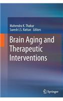 Brain Aging and Therapeutic Interventions