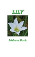 Lily Address Book