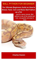 Ball Python For Beginner