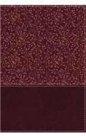 NRSV, Cultural Backgrounds Study Bible, Leathersoft, Burgundy, Comfort Print