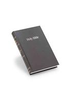 NIV Worship Bible