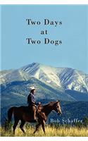 Two Days at Two Dogs: A Western Novel(English)
