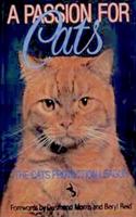 A Passion for Cats