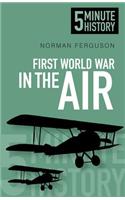 First World War in the Air: 5 Minute History