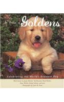 In Praise of Goldens